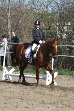 Bild 833 - WBO-Turnier am 9.4.11